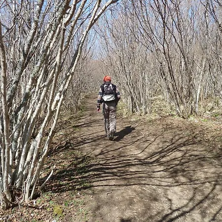 Les Chenets Chambon-sur-Lac