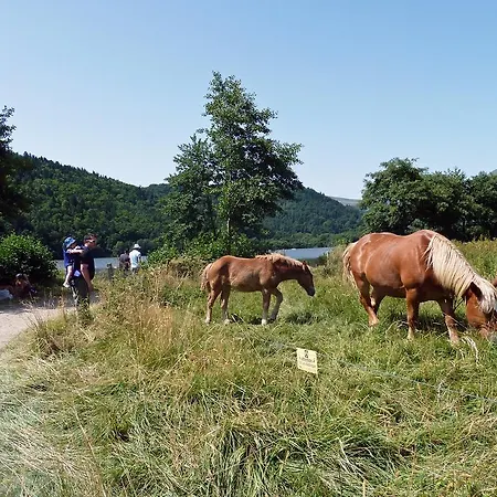 Les Chenets Chambon-sur-Lac